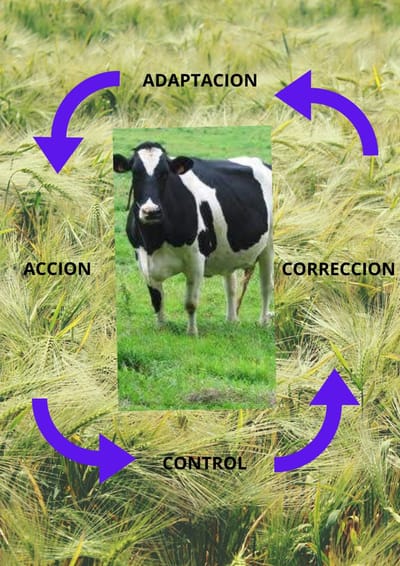 Tener una vaca lechera en el patio es muy bueno, pero significa asumir un riesgo. El riesgo de que un día te la roben.