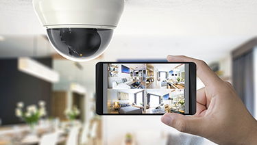 VIGILANCIA Y SEGURIDAD