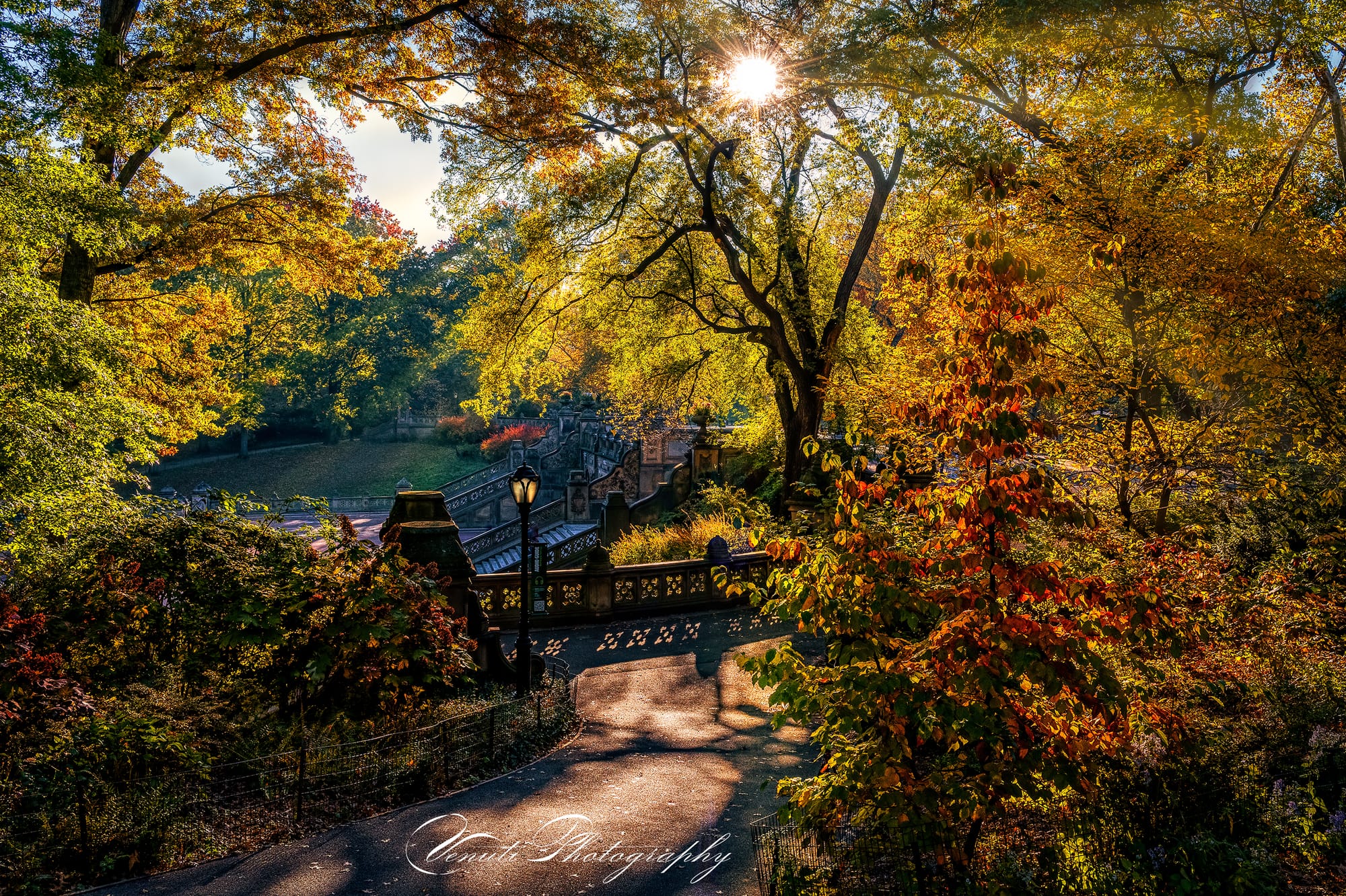 CENTRAL PARK STROLL