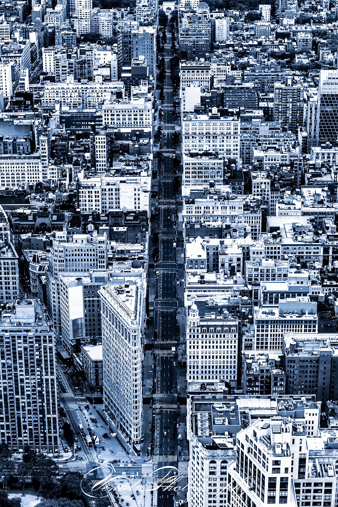 DOWN 5TH AVENUE