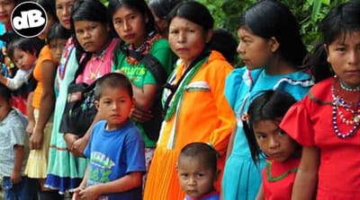 LAS COMUNIDADES INDÍGENAS DE COLOMBIA