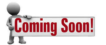 Blue Mountains - Coach