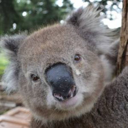 French Island by Ferry