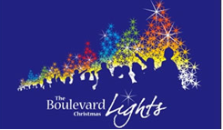 Christmas Lights and Dinner