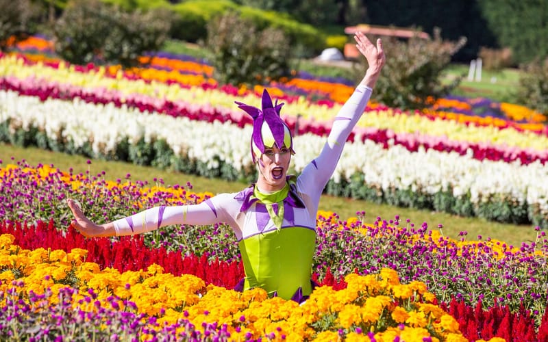 Festival of Flowers - Kabloom