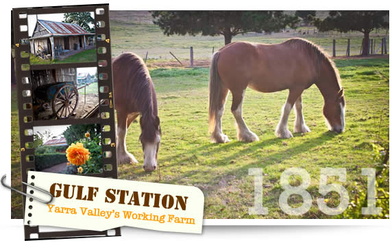 Gulf Station - Yarra Valley - Bookings Open