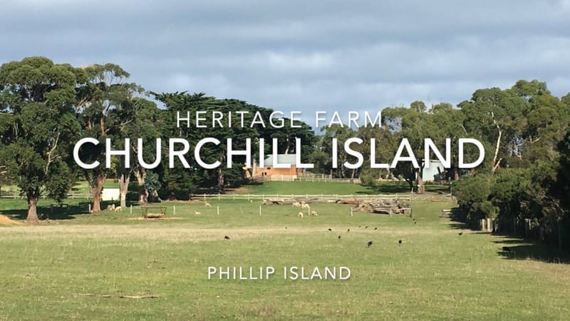 Phillip Island incl Caldermeade Farm, Pelican Feeding & Churchill Island - Copy