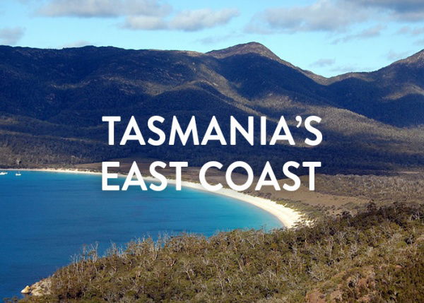 Tassie East Coast - Fly / Fly