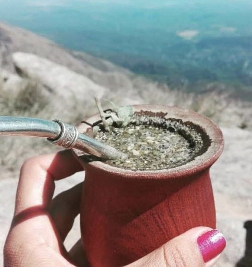 Reasons to Drink Yerba Mate