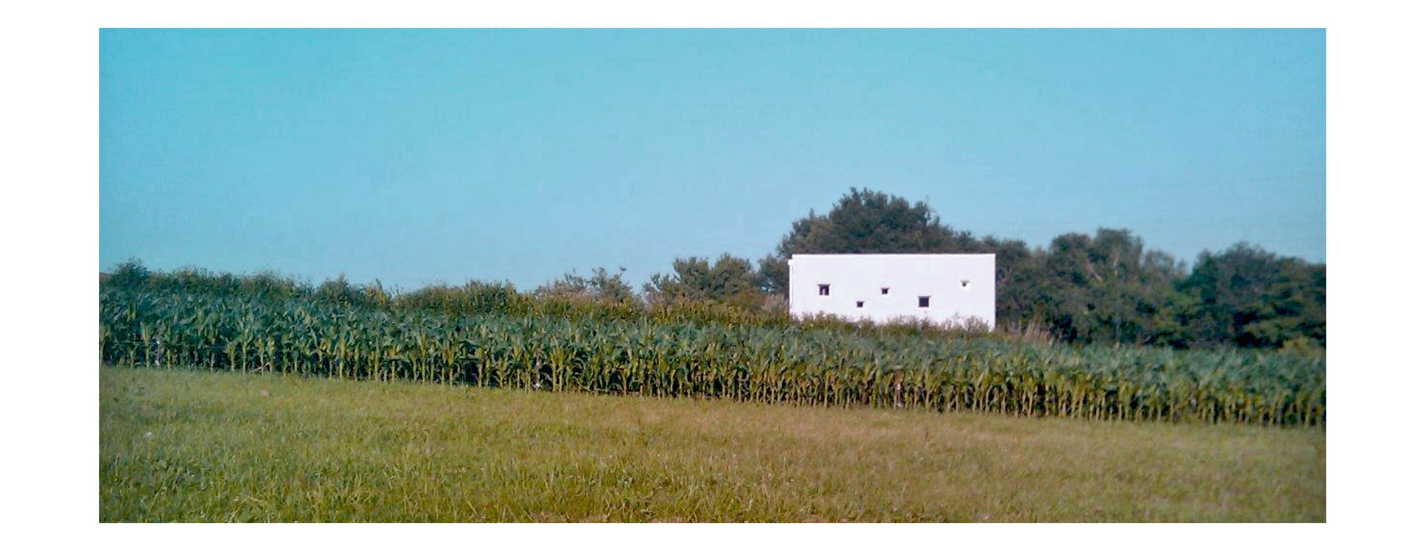 Maison dans le paysage