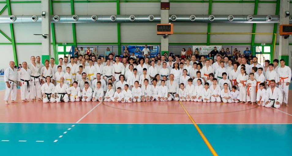 SHOTOKAN RYU SHOFUKAI, LA SOCIETÀ ORGANIZZATRICE