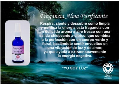 Limpia y Purifica tu Energía