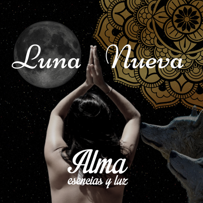 ¿Cómo puedes aprovechar la Energía de la Luna Nueva?