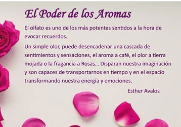 EL PODER DE LOS AROMAS