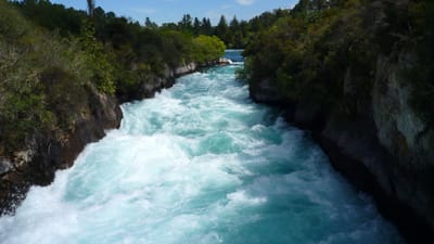 10 Ways You Can Help The Planet