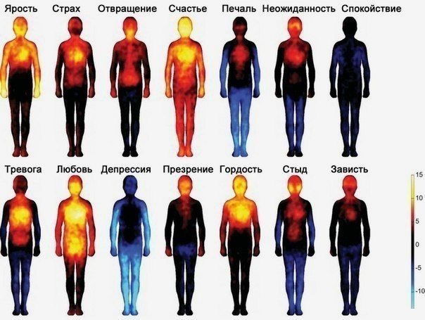 Teплoвaя кaртa, показывающая, как мы чувствуем эмоции.