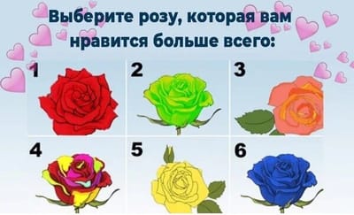 ТЕСТ ПО КАРТИНКЕ: ВЫБЕРИТЕ РОЗУ