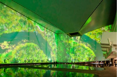 Pavilhão do Brasil na Expo 2020 Dubai oferece experiência sensorial da biodiversidade brasileira