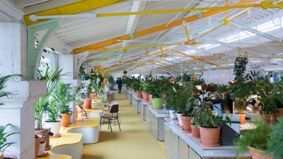 Dez interiores de escritórios verdejantes cheios de árvores e plantas