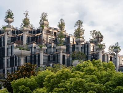 1.000 Trees / Heatherick Studio