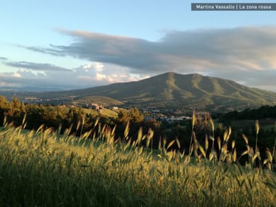 GIORNO 23