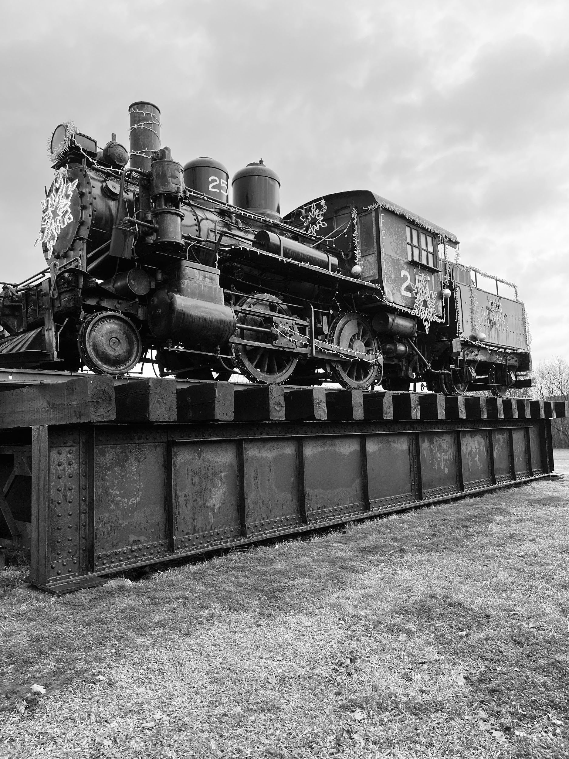 À fond le train par Audrey Viens