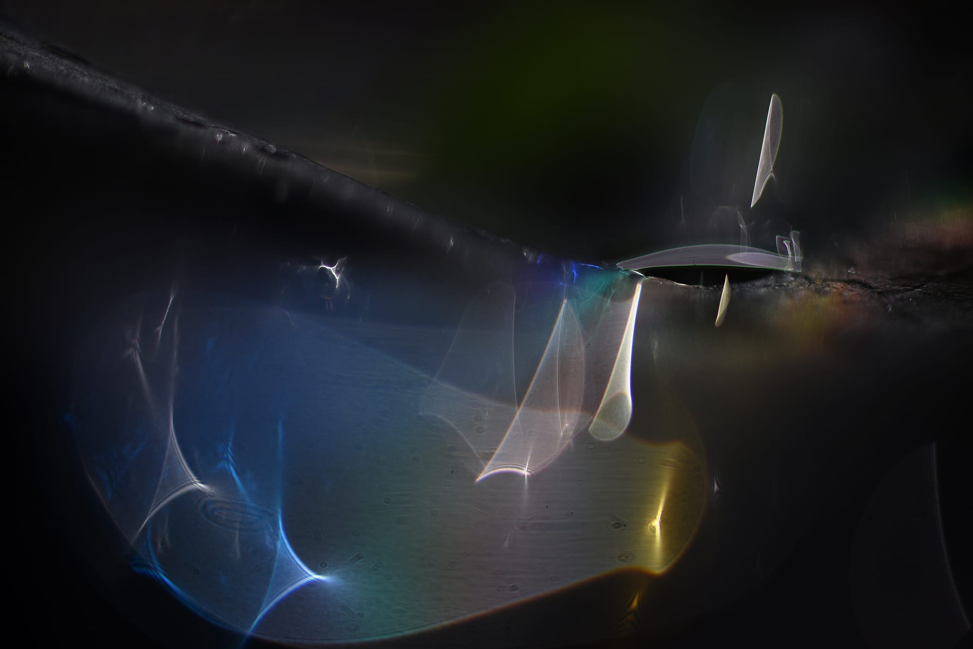 Knew You Were Coming