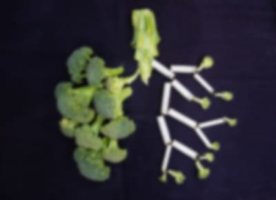 Covid: Interferon image