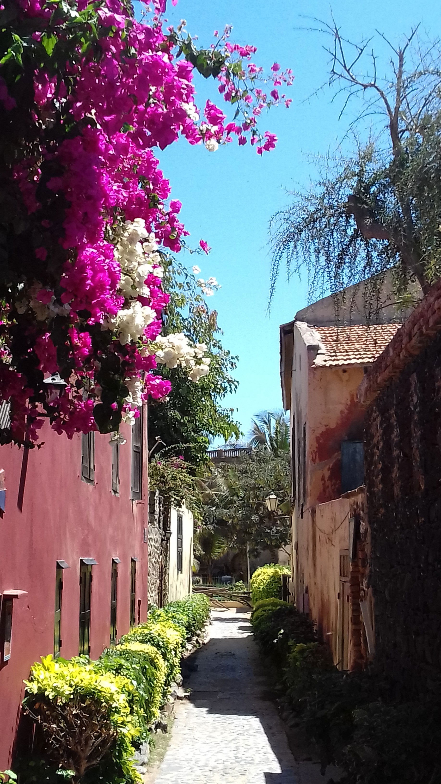 Dakar - ile de gorée