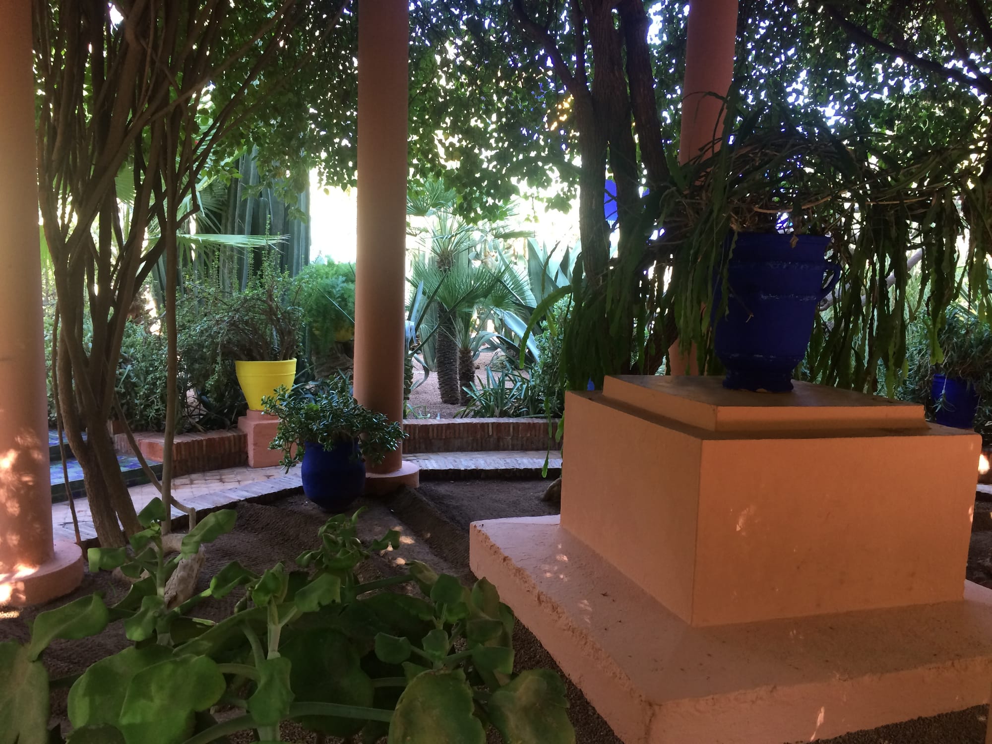 Marrakech - jardin majorelle