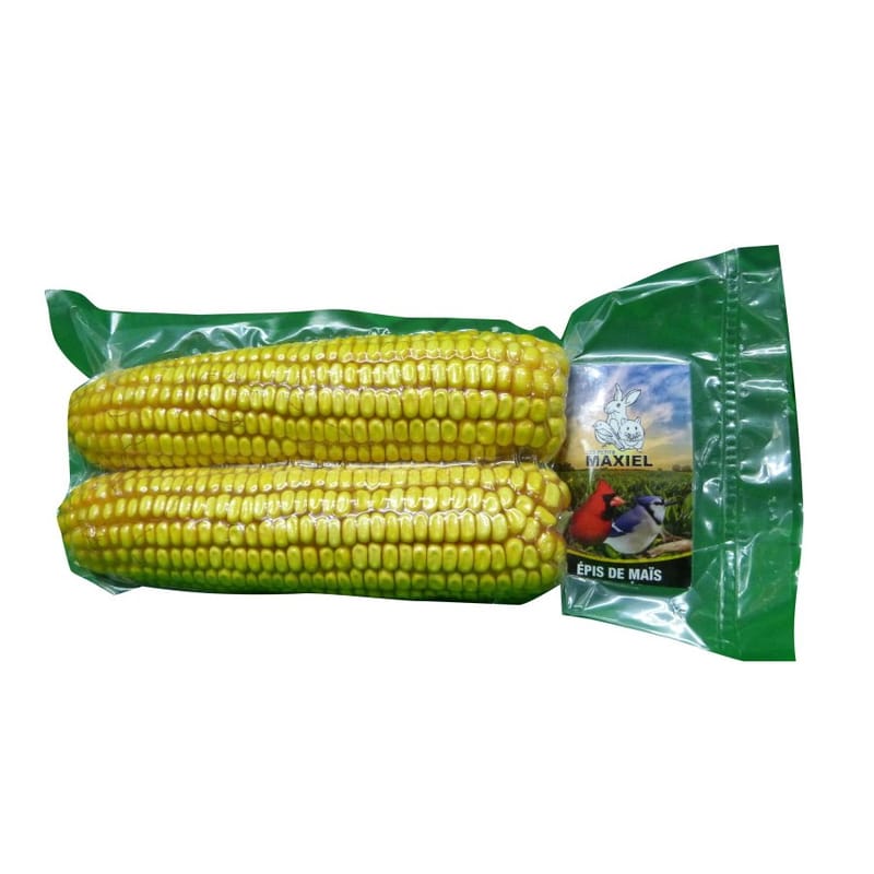 Trixie Giocattolo Per Uccelli Con Pannocchia Di Mais – Snack Naturale Per Pappagalli, Cocorite E Ondulate – 300 G