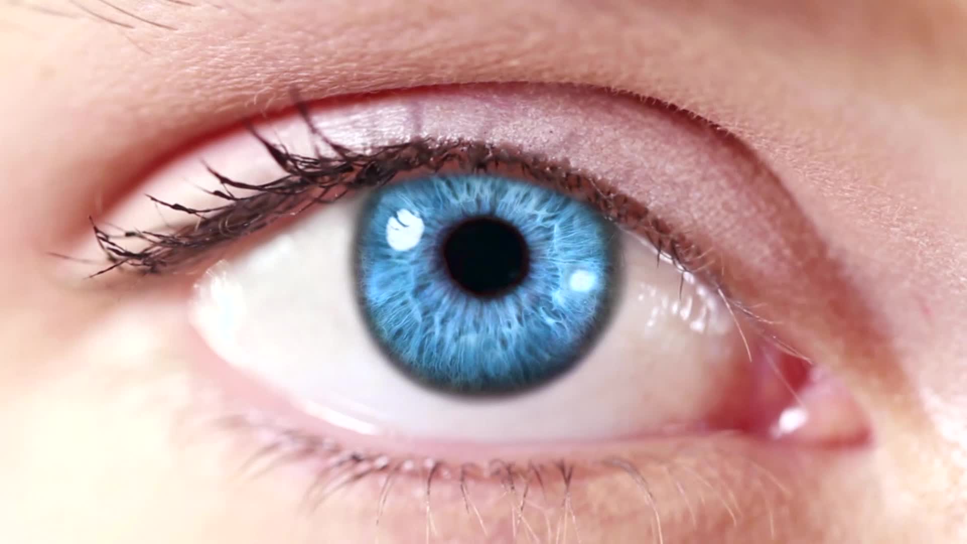 Settimana Mondiale del Glaucona