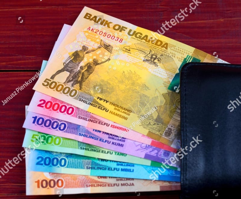 FINANCIAL SUPPORT SERVICES.