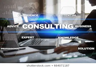 BUSINESS CONSULTATION