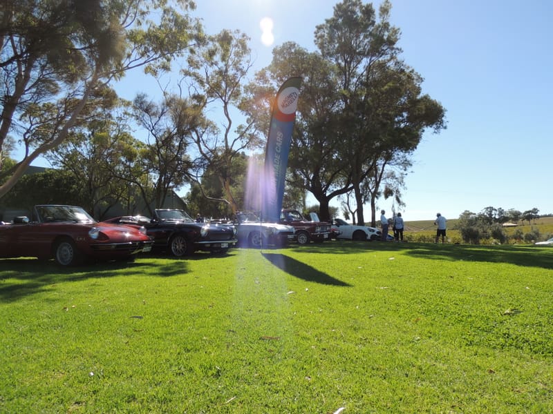 Italian Made Cars - McLaren Vale Classic and Vintage Festival