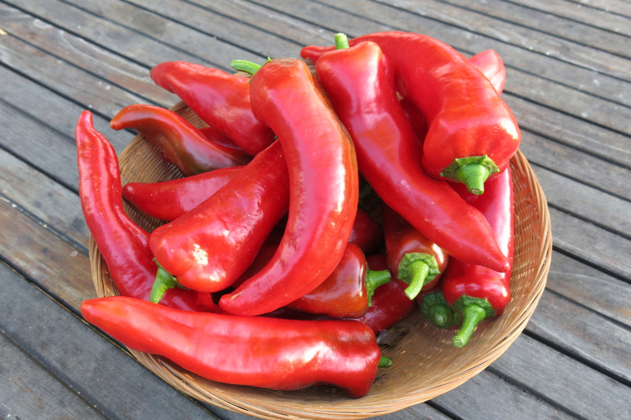 Carmen Peppers