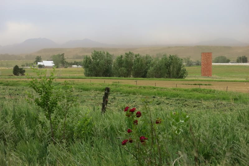 WeeBee Farms photo