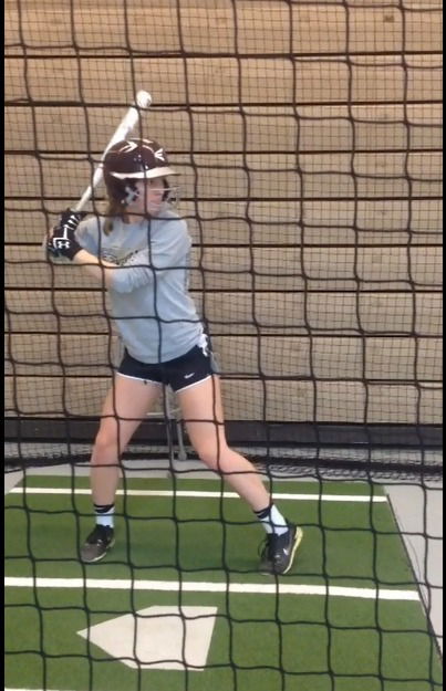 Hitting 101- 7 step plan (fastpitch)