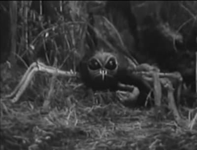 HORRORS OF SPIDER ISLAND a/k/a EIN TOTER HING IM NETZ (Body in the Web) [1960]