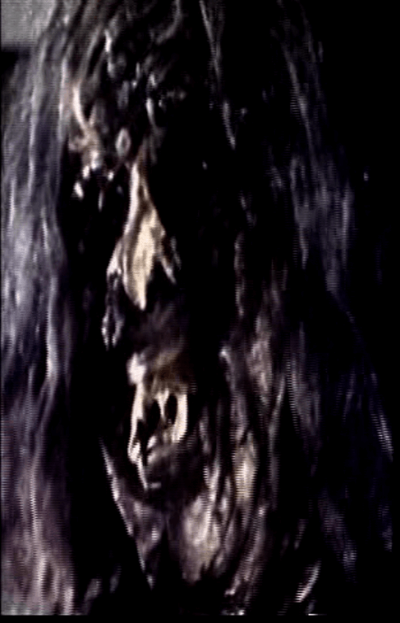 THE SHE BEAST a/k/a THE SISTER OF SATAN (1966)