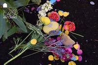 textos Proyecto image