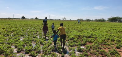 முக்கிய இயற்கை மதிப்புகள் image