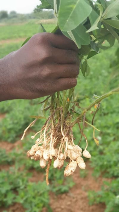 இயற்கை சூழல் image