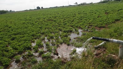 இயற்கை வேளாண்மை தாக்கம் image