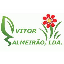 Vitor Almeirão, LDA