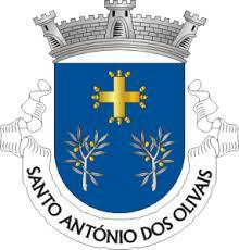 Freguesia Santo António dos Olivais (Coimbra)