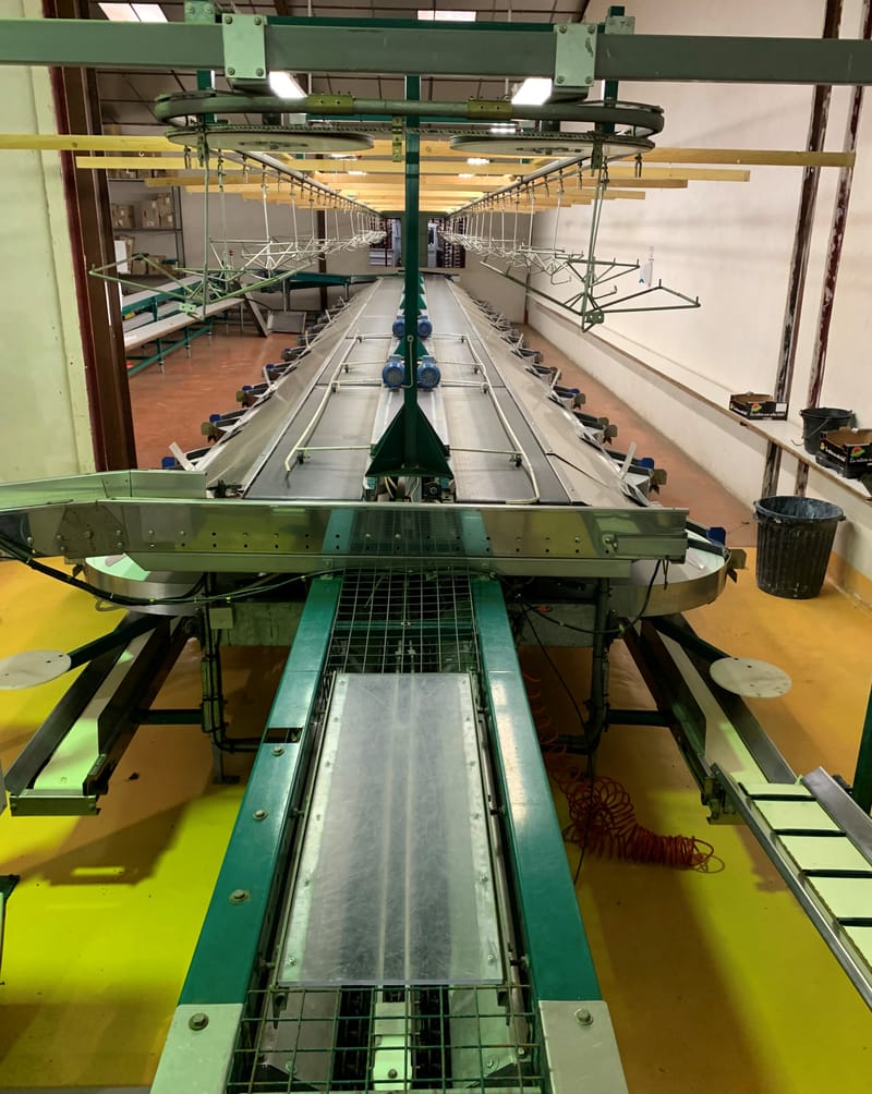 Maf roda Plumone 2 Lines grading line Kiwi