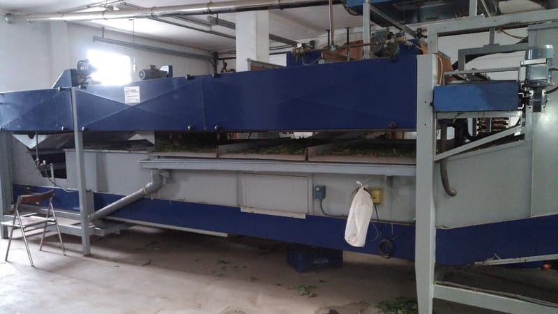 Maf roda mechanical grading line citrus