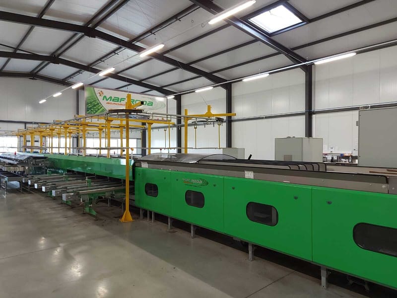 Maf roda 3 lines Kiwi peach sorting line