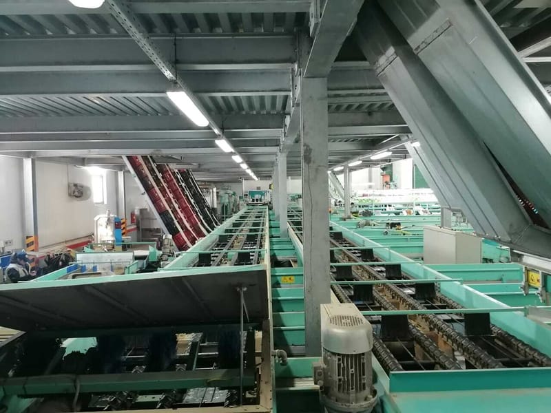 Sammo 8 lines kiwi sorting line